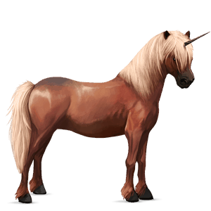 unicorno pony castano biondo platino