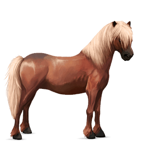 cavallo da corsa tennessee walker castano