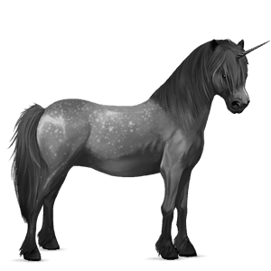 unicorno pony highland pony grullo