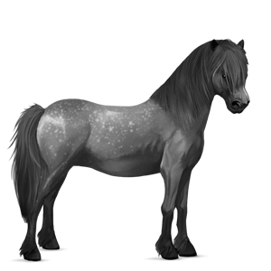 pony kerry bog grigio pezzato