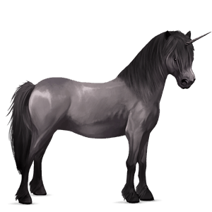 unicorno pony kerry bog grullo