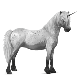 unicorno pony pony di terranova nero