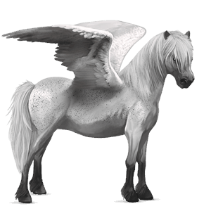 pegaso pony daino