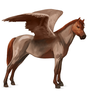 pegaso pony welsh roano