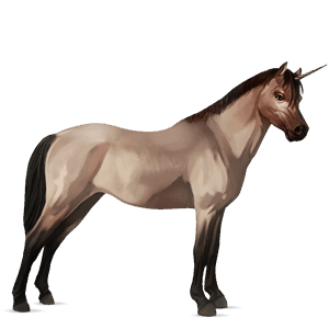unicorno pony pony di terranova baio rossastro