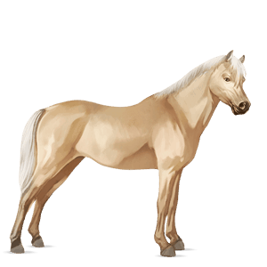 pony new forest palomino