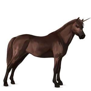unicorno pony tobiano baio