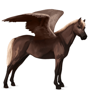 pegaso pony haflinger castano biondo platino