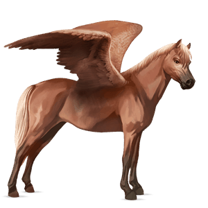pegaso pony highland pony castano biondo scuro
