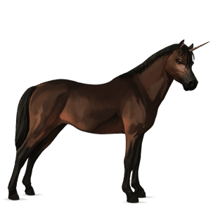 unicorno pony welsh baio scuro