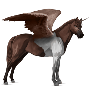 unicorno pony alato  welsh baio scuro