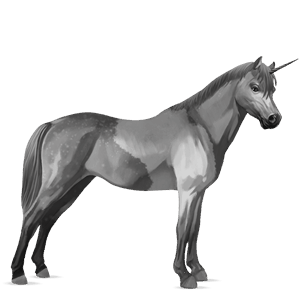 unicorno pony grigio chiaro