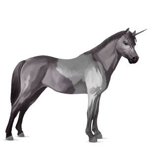 unicorno pony welsh baio rossastro