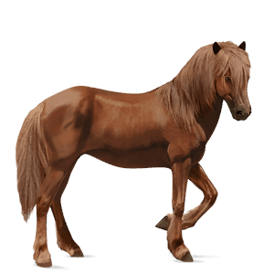 cavallo da corsa hanoverian castano