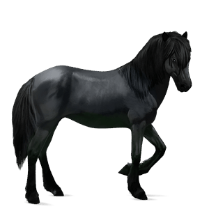 cavallo da corsa hanoverian castano