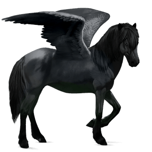 pegaso da corsa hanoverian castano biondo platino