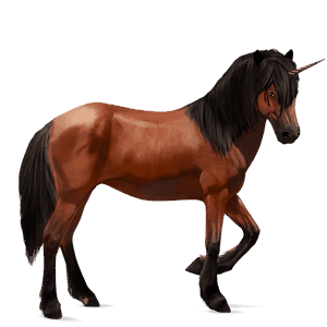 unicorno da corsa overo nero