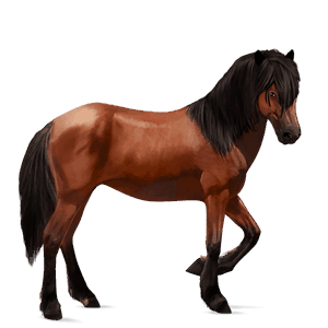 cavallo da corsa baio rossastro