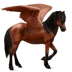 pegaso da corsa daino