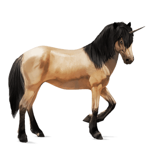 unicorno da corsa cavallo islandese daino