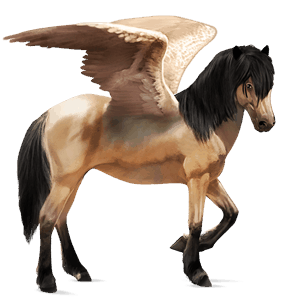 pegaso da corsa knabstrupper leopard rossastro