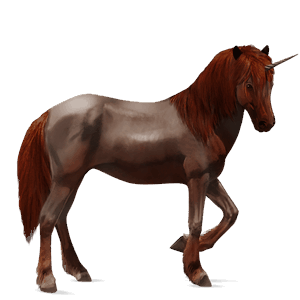 unicorno da corsa castano