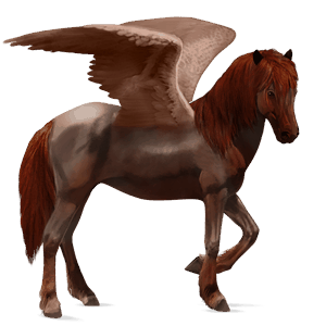 pegaso da corsa hanoverian baio