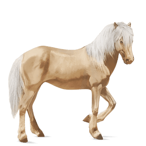cavallo da corsa palomino