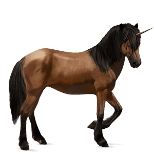 unicorno da corsa baio