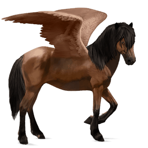 pegaso da corsa finnico universale baio