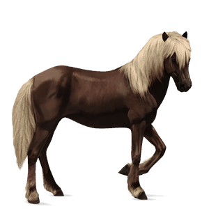 cavallo da corsa akhal-teke castano biondo platino