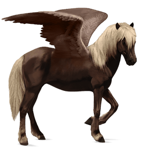 pegaso da corsa cavallo islandese castano biondo scuro