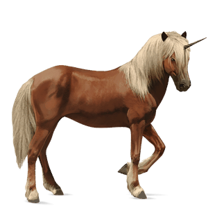 unicorno da corsa cavallo islandese baio