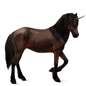 unicorno da corsa cavallo arabo baio scuro