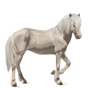 cavallo da corsa hanoverian grullo