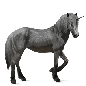 unicorno da corsa grigio pezzato