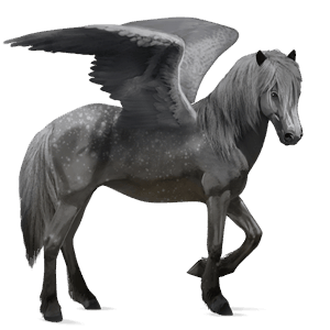 pegaso da corsa hanoverian baio