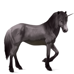 unicorno da corsa camargue grigio pezzato