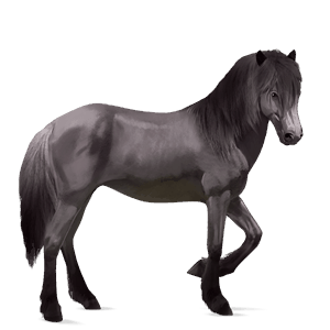 cavallo da corsa grullo