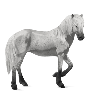 cavallo da corsa hanoverian grigio pezzato