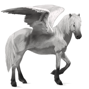 pegaso da corsa baio