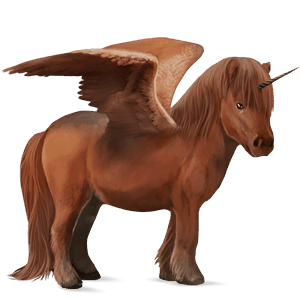 unicorno pony alato  pony di terranova baio