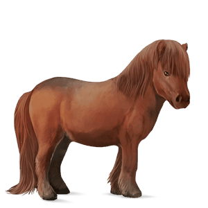 cavallo da corsa hanoverian castano