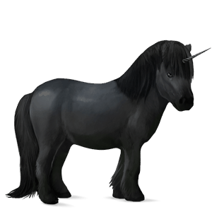 unicorno pony nero