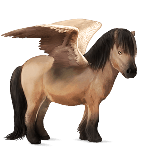 pegaso pony shetland daino