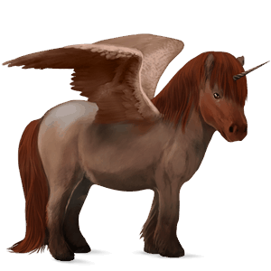 unicorno pony alato  shetland baio scuro