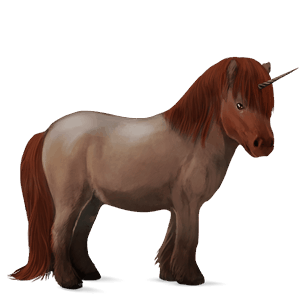 unicorno pony pony di terranova baio