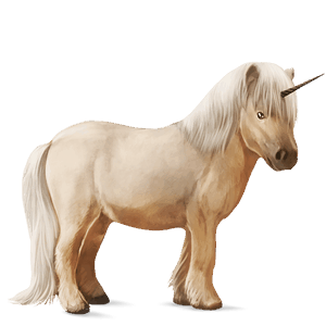 unicorno pony baio