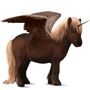 unicorno pony alato  connemara castano scuro