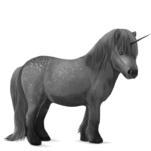unicorno pony welsh grigio pezzato